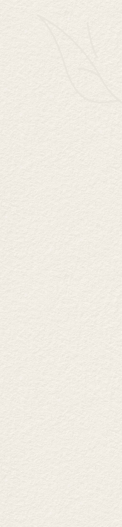 leaf background Textured leaf background